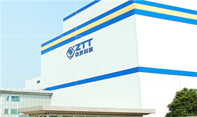 Jiangsu ZTT Co Ltd