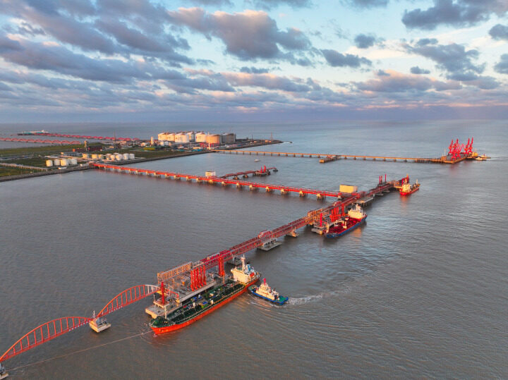 Yangkou Port achieves milestone with 5 foreign vessels unloading on same day