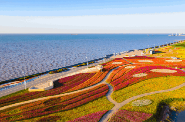 Tulip flora expo to debut at Yuantuojiao