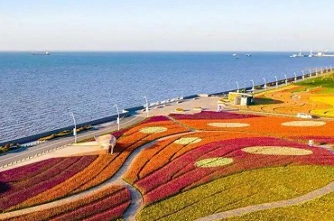 Tulip flora expo to kick off at Yuantuojiao
