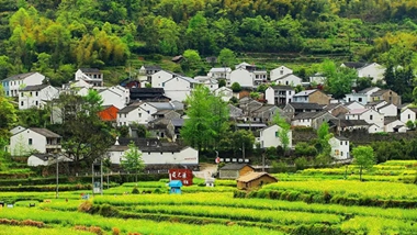 Best towns and villages to visit in Ningbo (2)
