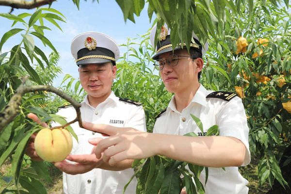 Fenghua honey peaches exported to HK by air
