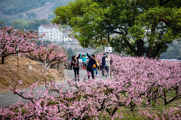 Fenghua, Ninghai given top marks in 'all-for-one' tourism evaluation