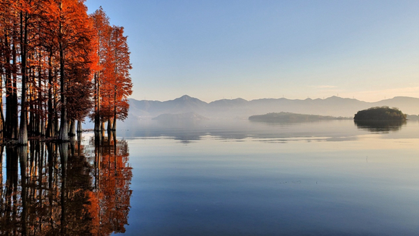In pics: Captivating autumn view of Siming Lake