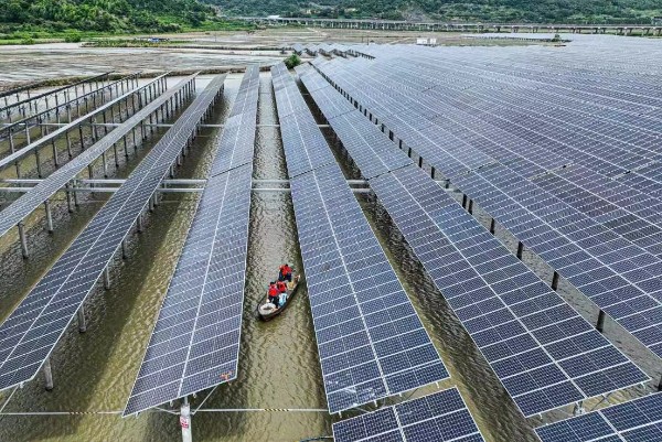 Photovoltaic aquaculture bolsters rural vitalization in Ninghai