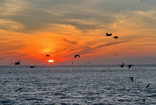 Stunning sunrise at 'Bird Islands'