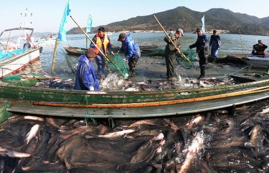 Winter fishing begins on Dongqian Lake