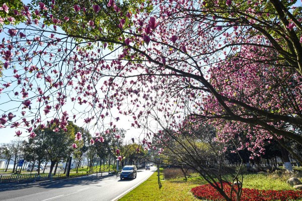In Pics: A glimpse of spring at Dongqian Lake