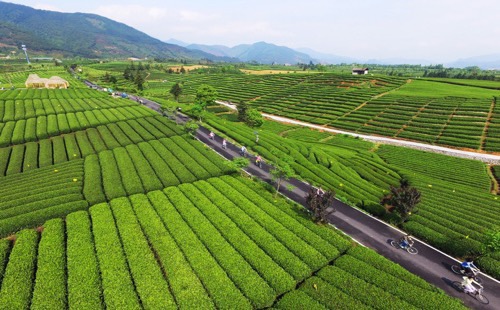 Zhejiang issues policies to support rural vitalization