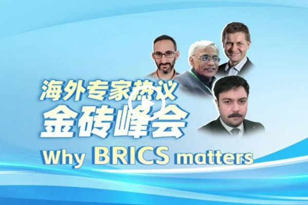 Experts: Why BRICS matters