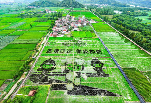      Asian Games patterns created in rice field in Ningbo                                          