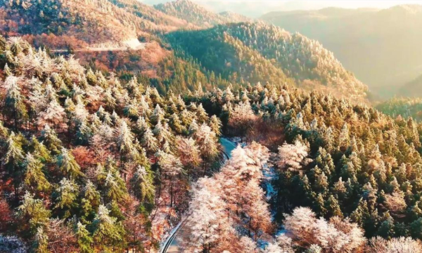 Mystical splendor: Siming Mountain becomes enchanting winter sight