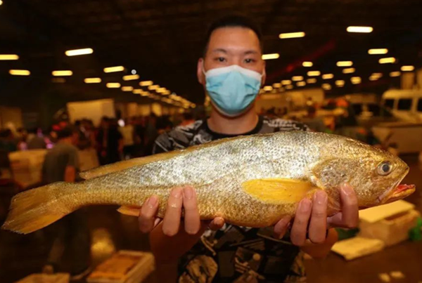 First catch of seafood hits the market in Ningbo
