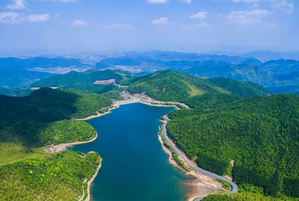 Nation's first forest biodiversity insurance launched in Ningbo   
