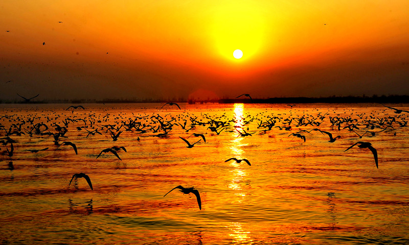 Scenery of Shahu Lake.jpg