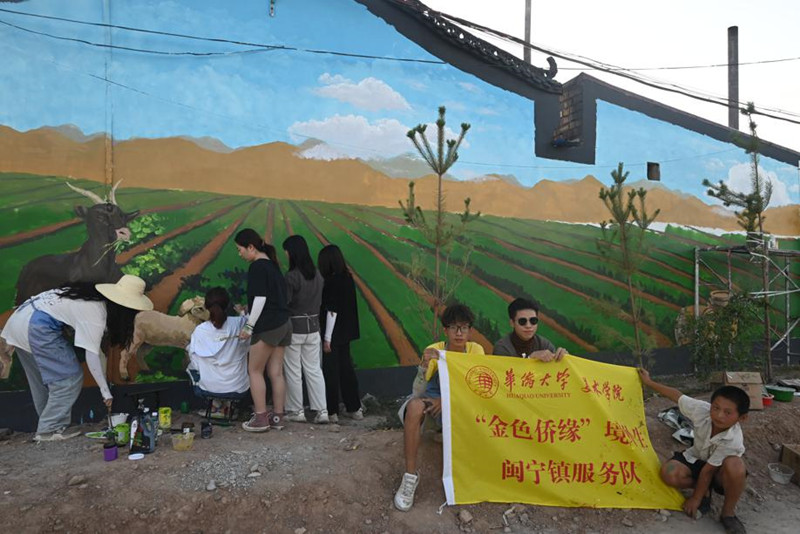 Art project lifts image of village in Ningxia.jpg