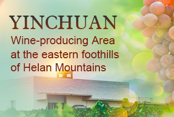 Yinchuan Wine-producing Area at the eastern foothills of Helan Mountains