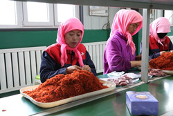 Workshop lifts women out of poverty in Ningxia
