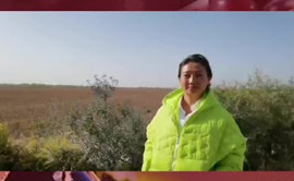 Winemaker offers best wishes on Ningxia's wine industry