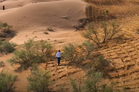 'Chinese Rubik’s Cube' in Ningxia