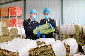 Ningxia exports indocalamus leaves to Taiwan