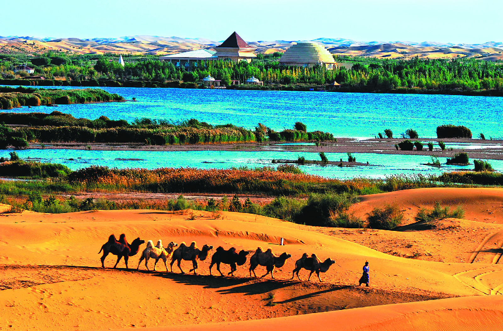 1505180192579025278.jpg 1505180192579025278.jpg