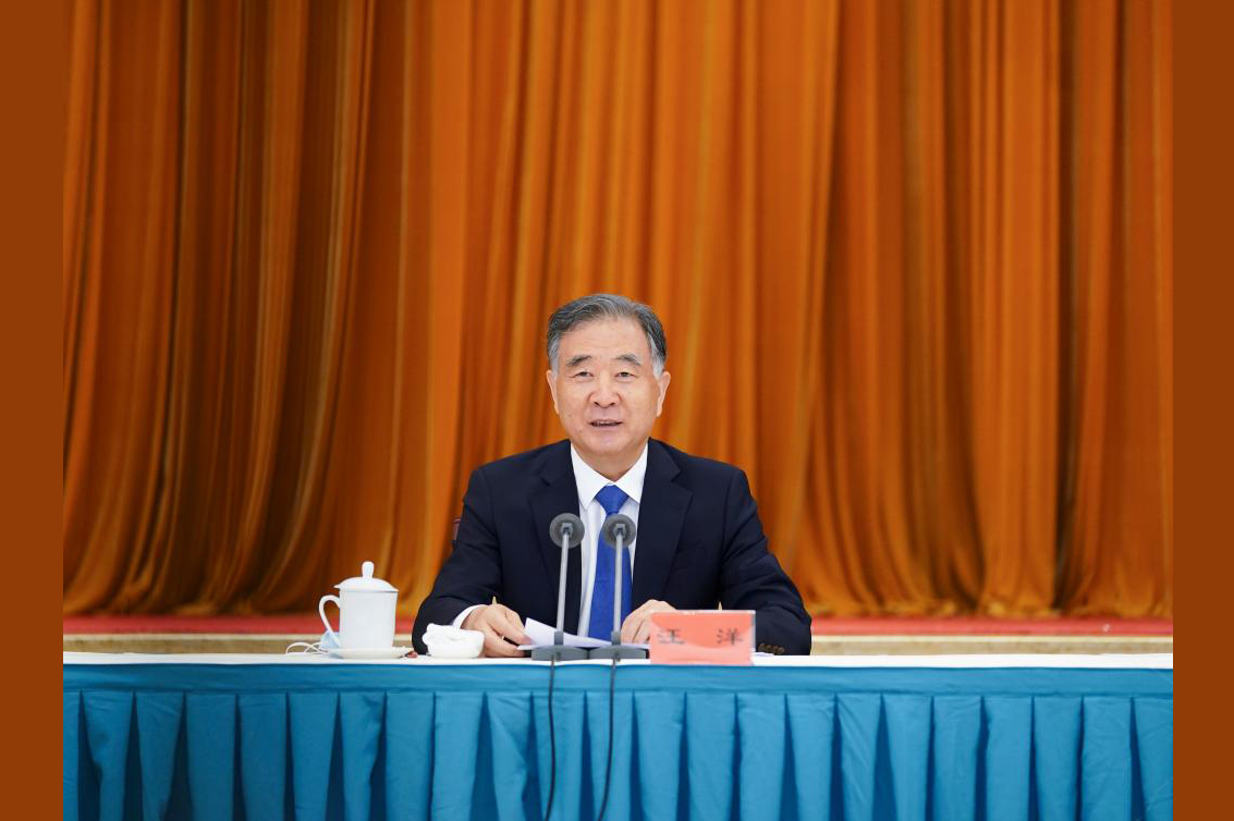 Wang Yang stresses united front's role in China's development