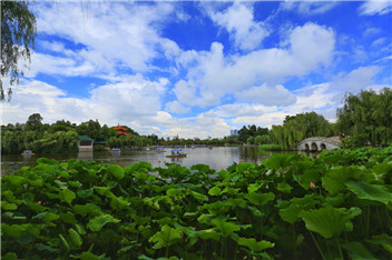 Nanjiang's per-capita green area reaches 13.74 sq m