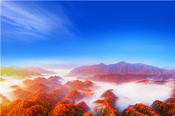 Sichuan kicks off Guangwu Mountain International Red Leaf Festival