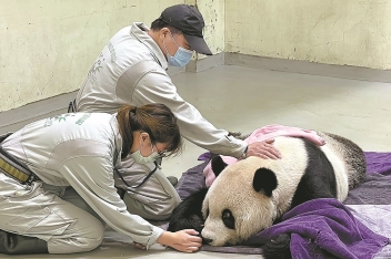 Passing of giant panda mourned by both sides across Straits