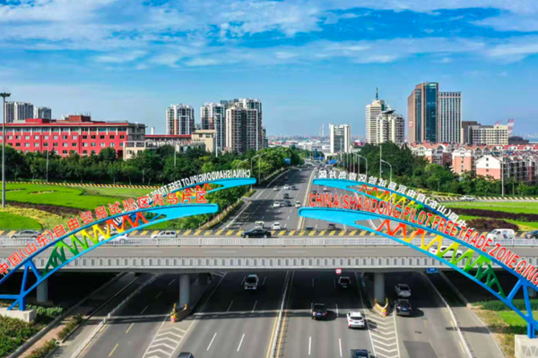 Shandong CPC congress report highlights Qingdao WCNA's developmental role