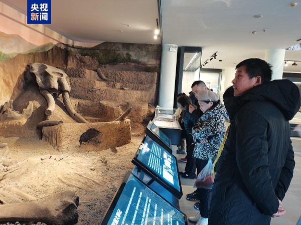 Weifang Elephant Fossil Exhibition opens to public