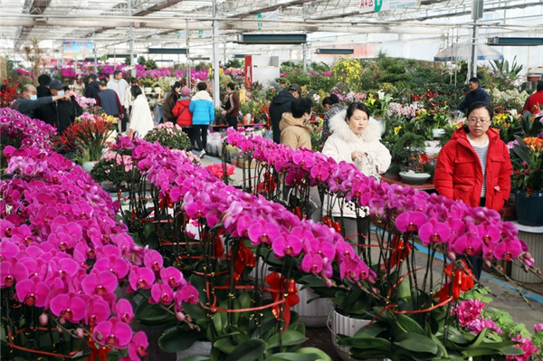 Flower market thrives in Shandong's Taian