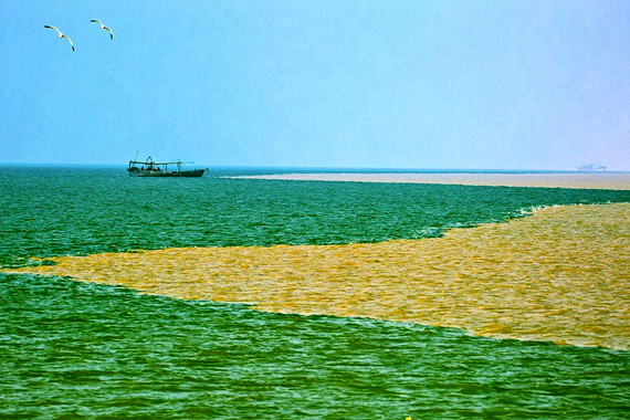 Magnificent Yellow River enters the sea in Dongying