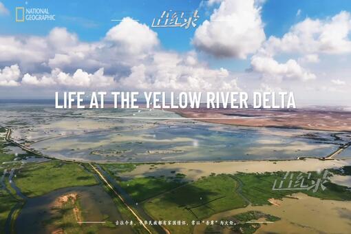 Shandong Radio and Television Station's 'Life at the Yellow River Delta' wins big at Telly Awards