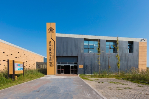 Dongying's bird museum offers journey through avian world