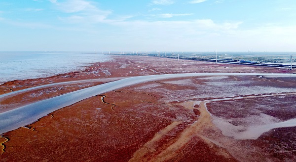 Dongying Hongtan Wetland Tourist Area