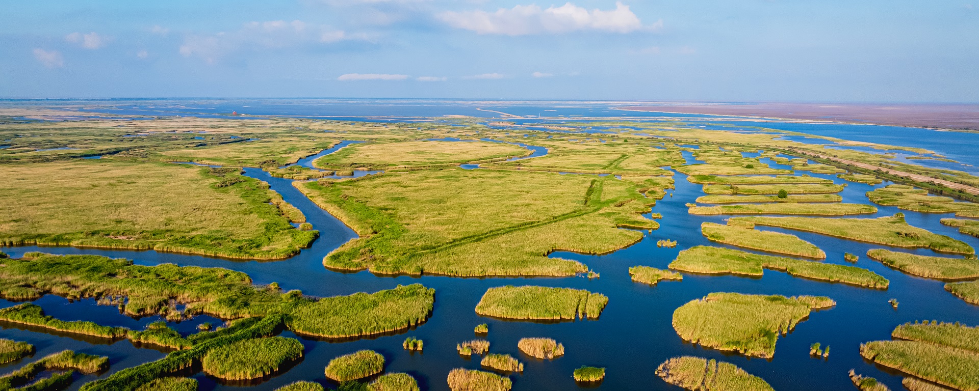 Dongying hosts intl roundtable on sustainable wetland development 