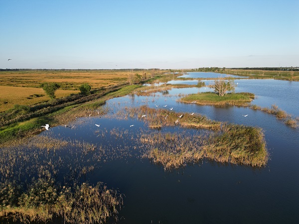 Ecological and developmental changes unfold along Yellow River