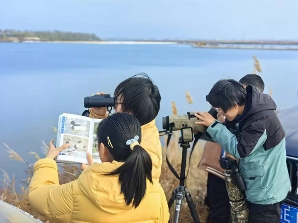 Dongying bird-watching competition highlights rich ecosystem