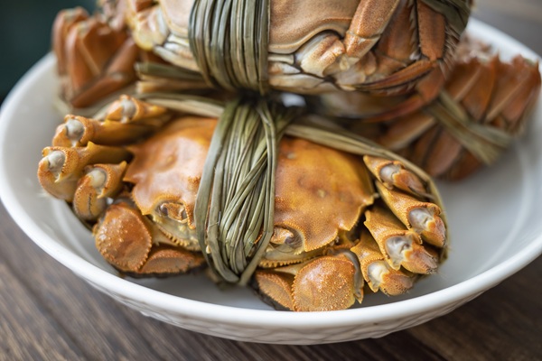 Dongying student introduces Yellow River estuary hairy crab