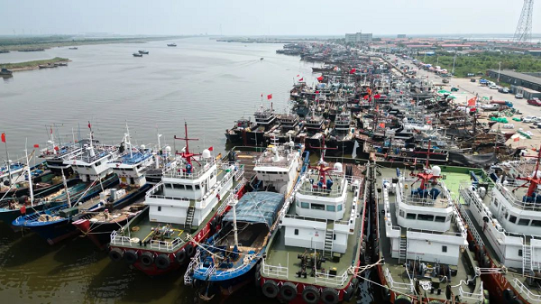 Dongying kicks off fishing season