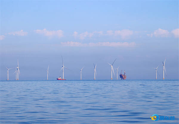 Dongying harnesses offshore wind power for green electricity