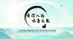 Delicious journey through Yellow River Esturay