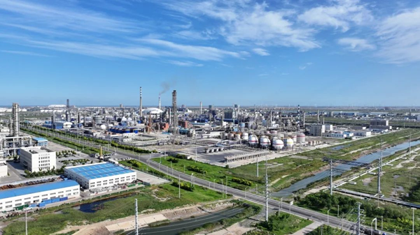 Industry meets ecology: Dongying Port Economic Development Zone's green transformation