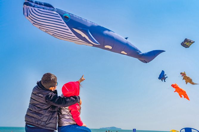 Kites of all kinds take flight over Shandong shore