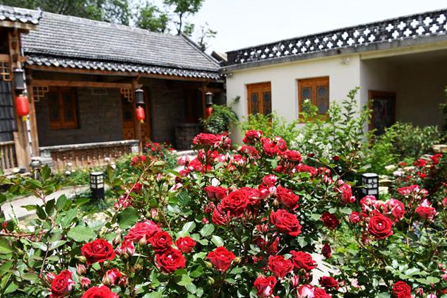 Tourism prospers in Zaozhuang village 