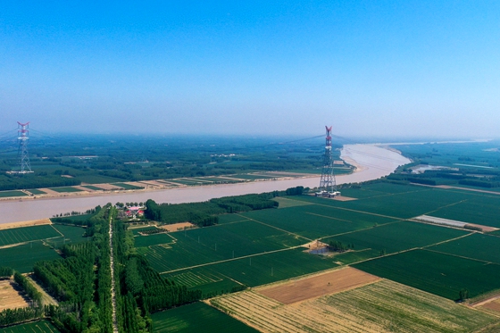 Zouping boosts ecological protection of Yellow River
