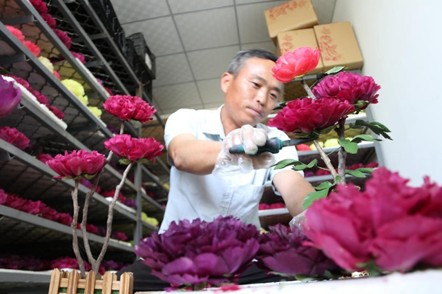 'Peony capital' building industry around famed flower