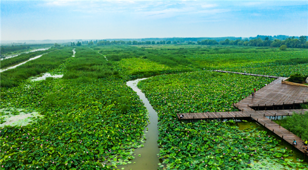 Jining's way to intl wetland city